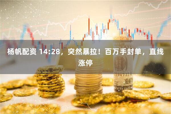 杨帆配资 14:28，突然暴拉！百万手封单，直线涨停
