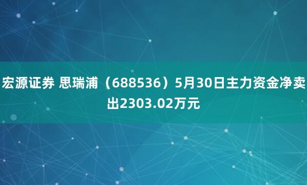 宏源证券 思瑞浦（688536）5月30日主力资金净卖出2303.02万元